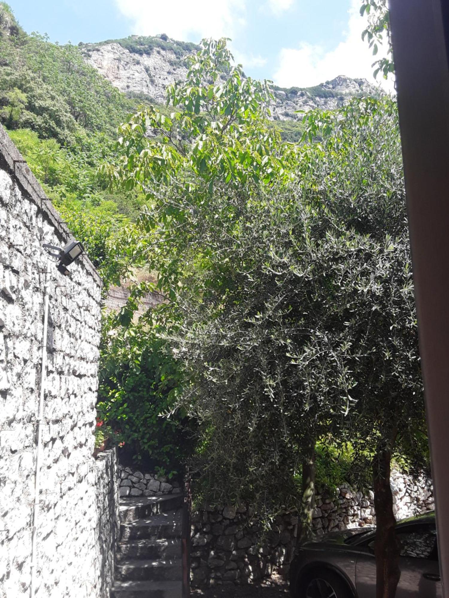 Degli Olivi Relais Torbole Sul Garda